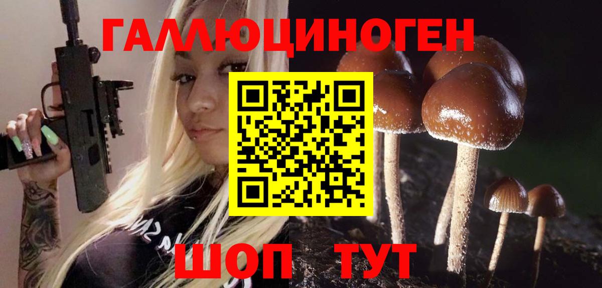 Галлюциногенные грибы мицелий  Псилоцибиновые грибы Psilocybe  Ипатово  Вход с VPN 